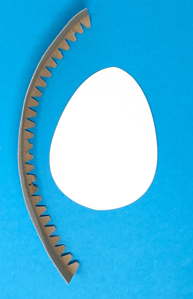 Cardboard egg base with side strip