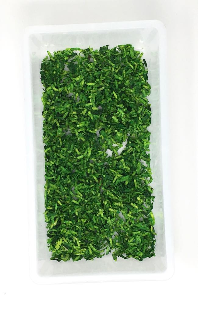 BEAUTIFUL DIY PAPER GRASS, Amazing 3D Grass